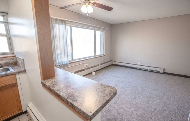 1 bed, 1 bath, 650 sqft, $945, Unit 3401-305