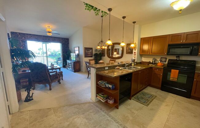 20221 Estero Gardens Cir #205 - Amber