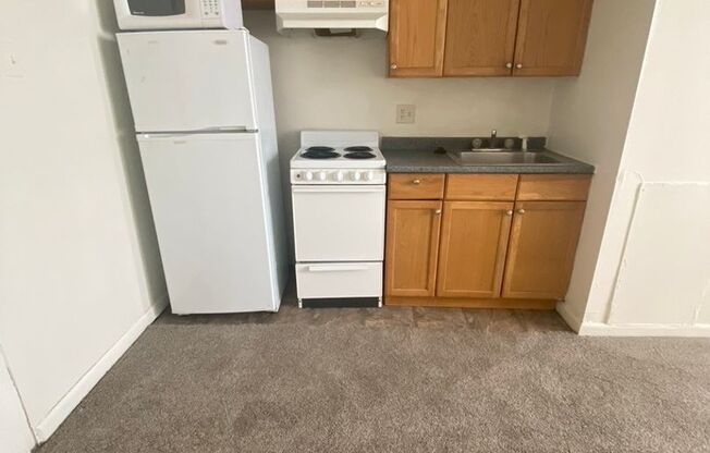 Studio, 1 bath, 450 sqft, $900, Unit 405