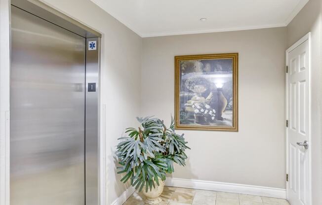 A potted plant sits in front of a framed picture in a hallway.