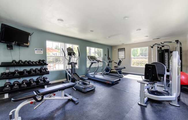 Fitness center with treadmill, cardio machines, free weights and teal blue accent wall