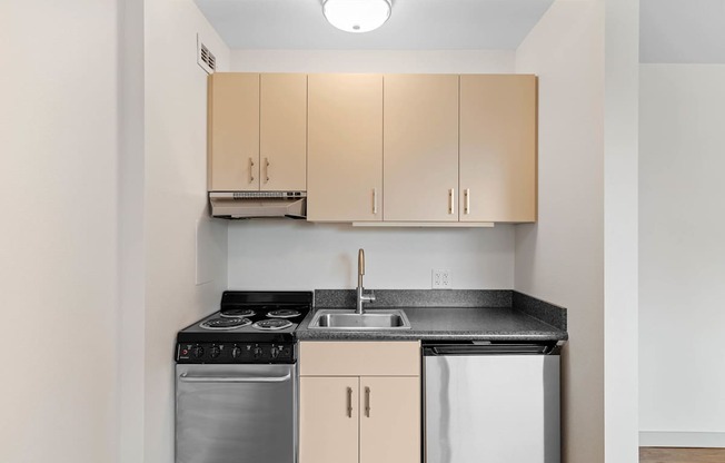 a kitchen with white cabinets and a dishwasher and a sink