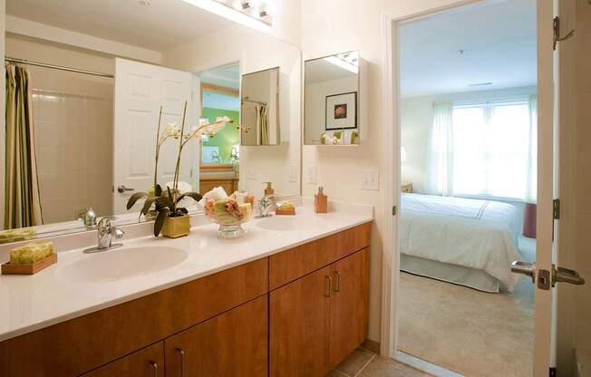 Luxurious Bathroom at Spa Cove Apartments, Annapolis