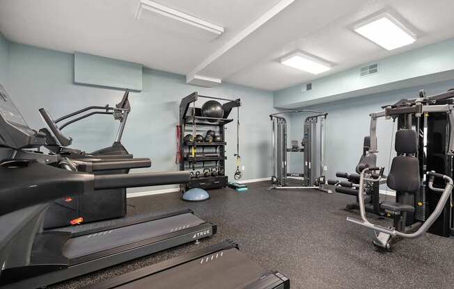 A gym with treadmills, weights, and exercise machines.