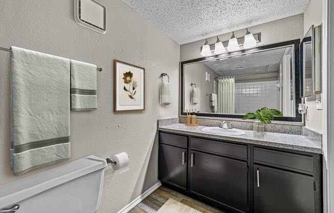 a bathroom with a sink and a mirror and a tub at Legacy Apartments in Plano, TX