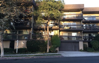 1 bed, 1 bath, $2,075, Unit #206