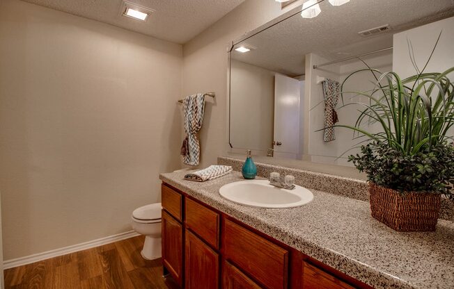 Luxurious Bathroom at Towne Centre Village, Texas, 75150