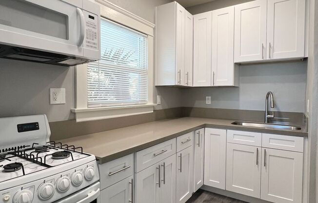 1 bed, 1 bath, 450 sqft, $1,995, Unit #1