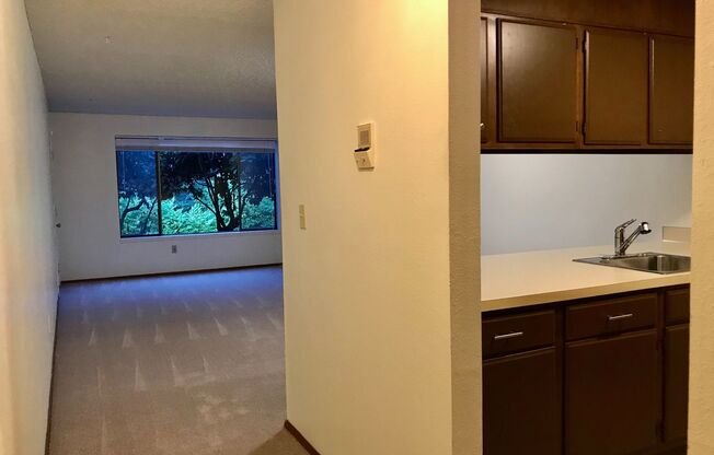 1 bed, 1 bath, 750 sqft, $1,400, Unit S 306