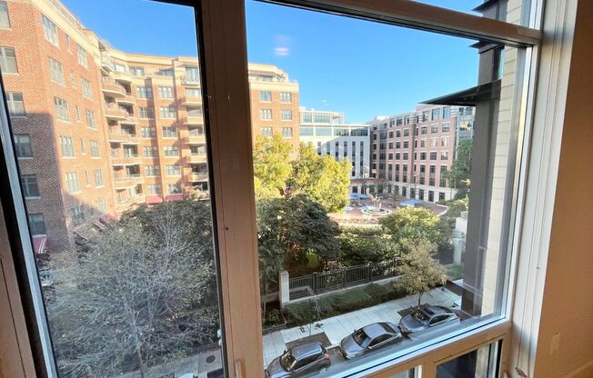 1 bed, 1 bath, $2,650, Unit 518