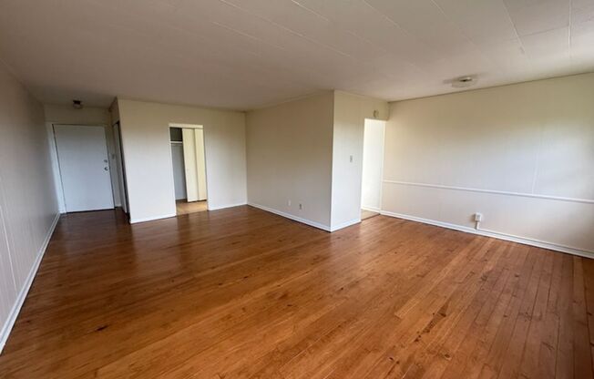 Studio, 1 bath, 487 sqft, $1,300, Unit Fifth 201