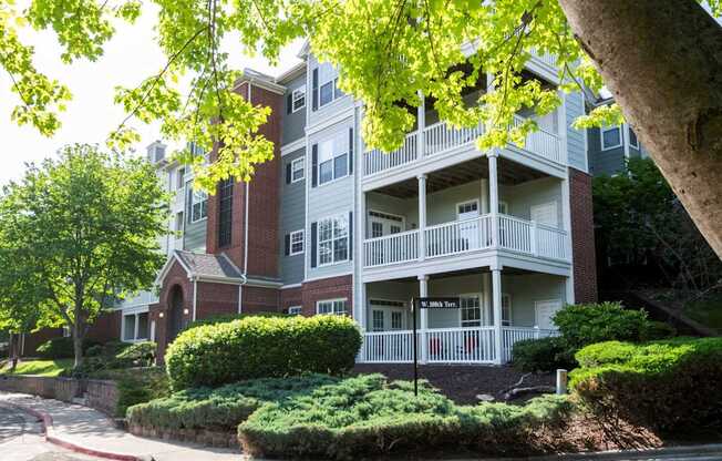 A tree with green leaves is in front of a building.