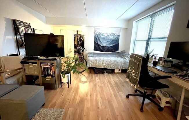 Studio, 1 bath, 431 sqft, $2,700, Unit 5H