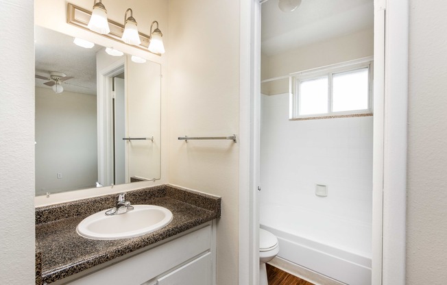 a bathroom with a sink and a mirror and a toilet