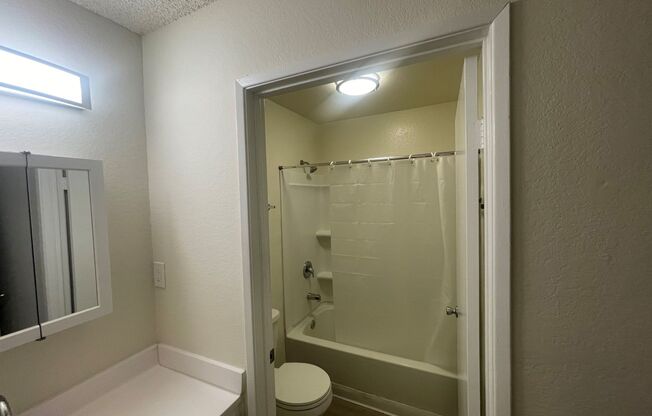 Studio, 1 bath, $1,295, Unit 106