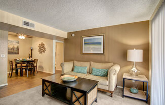 Paradise Falls Living Room