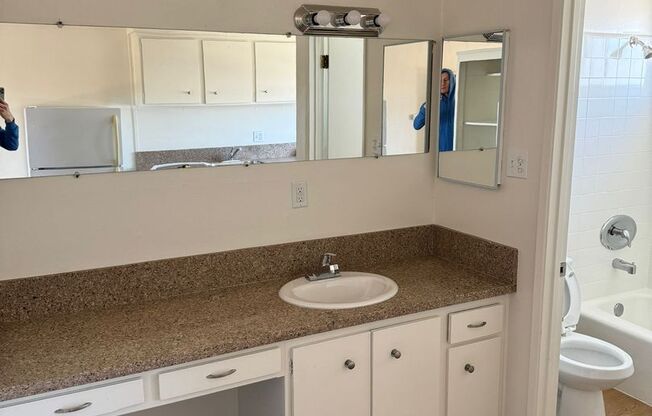 Studio, 1 bath, 360 sqft, $1,654, Unit 244