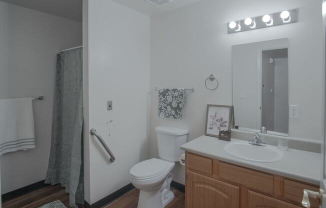 a bathroom with a toilet sink and mirror and a shower
