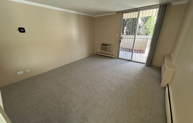 Studio, 1 bath, 424 sqft, $1,050, Unit 103
