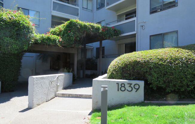 LARGE STUDIO IN SUNNY MISSION W/PARKING