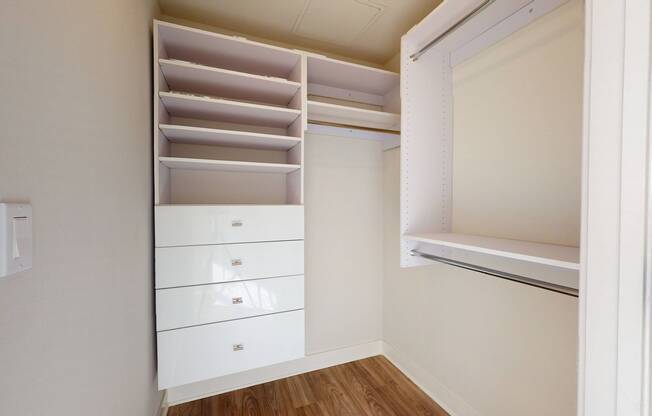 Spacious and well-organized closets