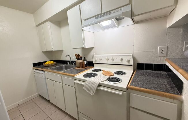 1 bed, 1 bath, 570 sqft, $1,249, Unit OPA-151