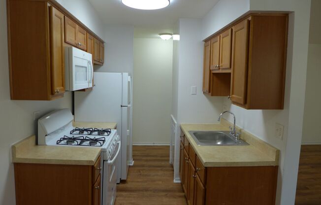 1 bed, 1 bath, 650 sqft, $1,495, Unit 505