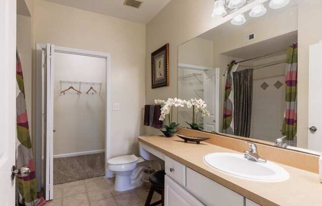 Apex at Royal Oaks Model Bathroom with Attached Walk-In Closet