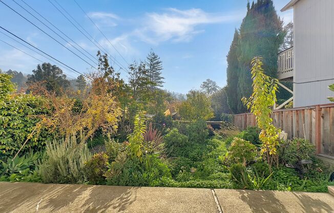 Spacious, Bright & Private Home with Huge Backyard on one of the quietest streets of Redwood Heights