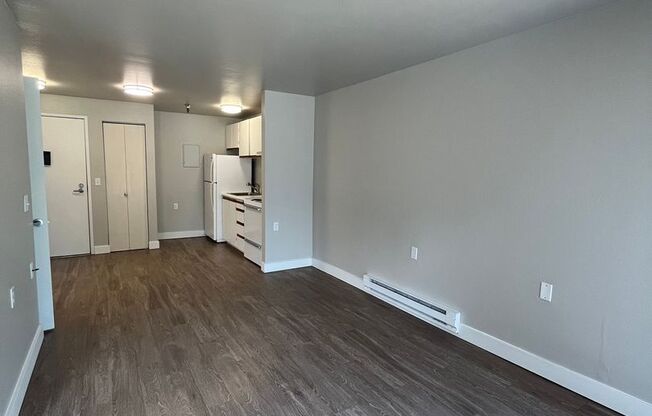 Studio, 1 bath, 480 sqft, $1,450, Unit 228