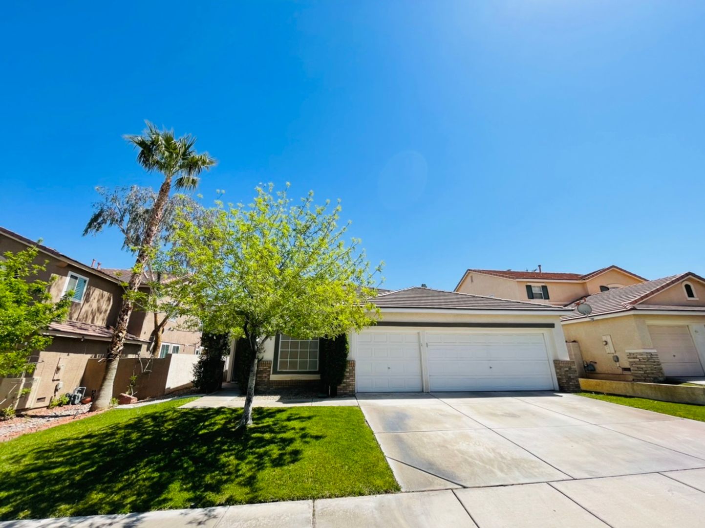 Single-story 4 Bed nestled in the desirable Green Valley Ranch!  3 Car Garage!