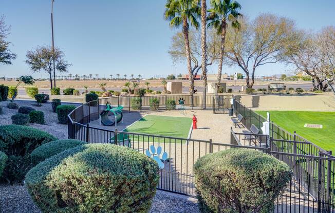 Pet Park and Agility Course Lunaire Apartments | Goodyear, Arizona