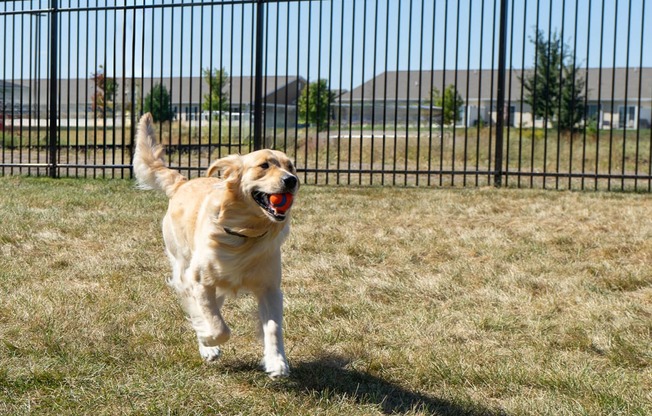 Pet Friendly at Sterling Prairie Trail North in Ankeny, IA