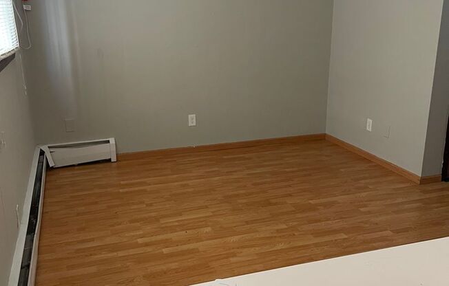 Studio, 1 bath, $849, Unit 104