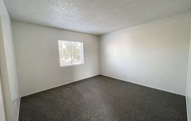 A room with a window and carpeted floor.