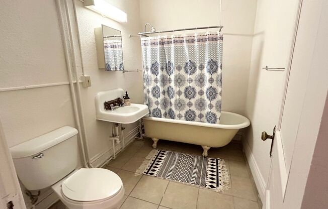 1 bed, 1 bath, 350 sqft, $570, Unit 305