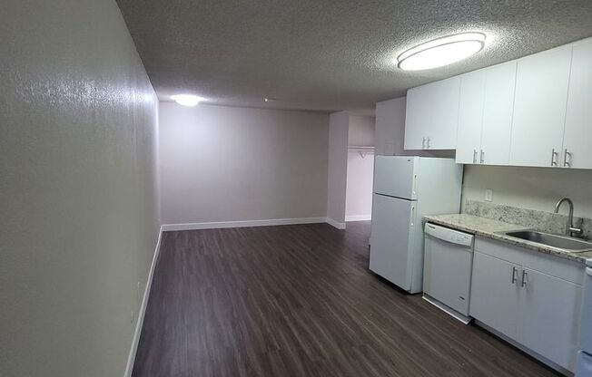 Studio, 1 bath, 274 sqft, $1,395, Unit 313A - 313A-1