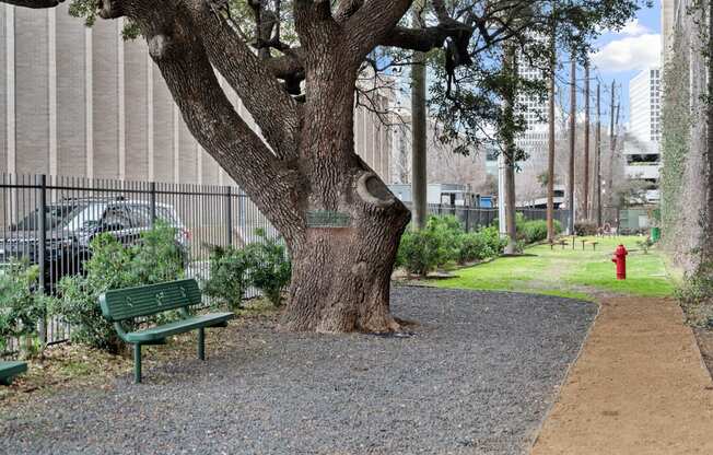 a park bench sitting next to a tree