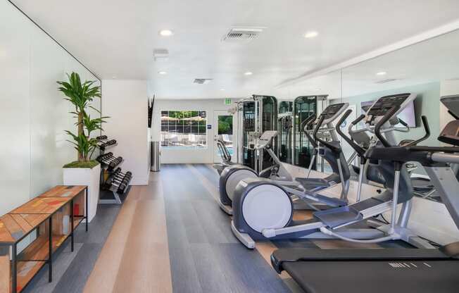 two treadmills and other exercise equipment in a gym