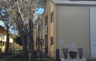 Amazing condo next to the Truckee River!