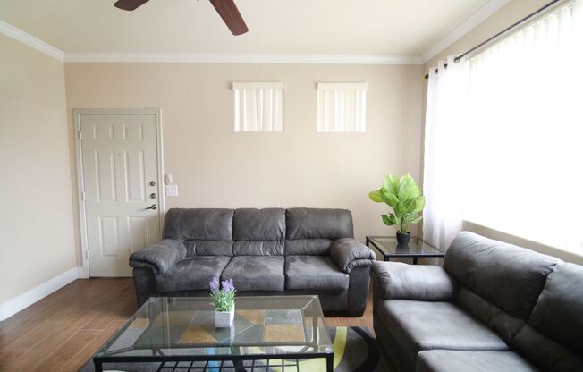 Fully Furnished 1 bedroom in Solana!