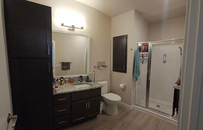 1 bed, 1 bath, 711 sqft, $1,500, Unit 315