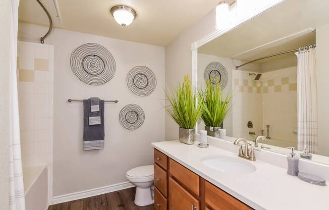 Palm Valley apartments bathroom