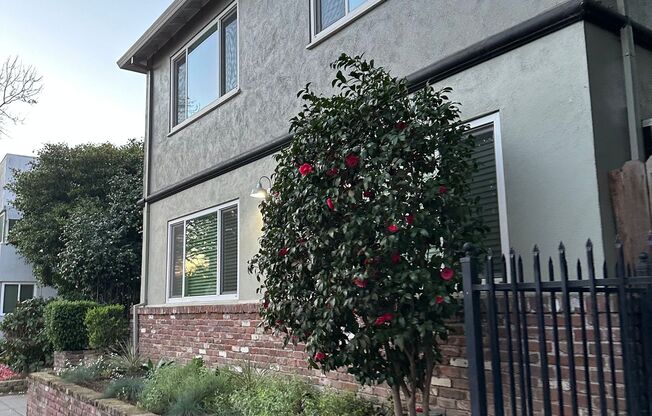 Live Where Downtown Meets Midtown, Absolute Must See!