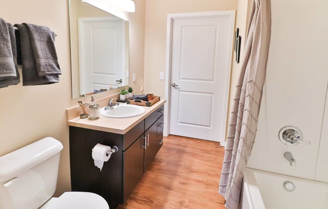 a bathroom with a sink and a toilet and a shower