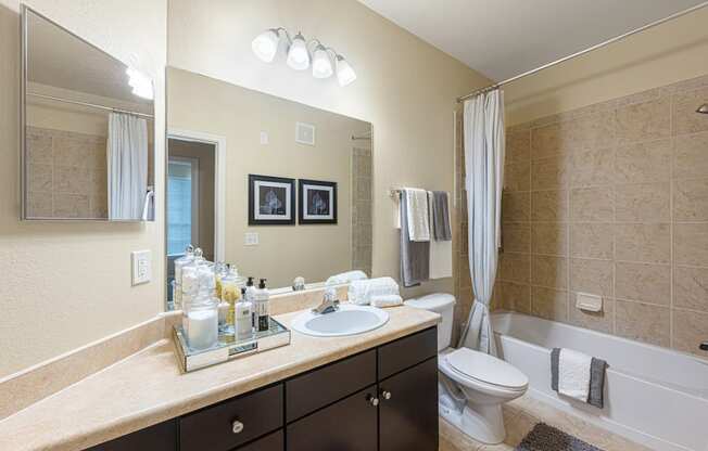 the preserve at ballantyne commons apartment bathroom with sink toilet and shower