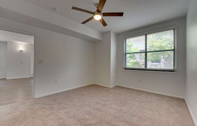 Plush Carpeting at Vue Live Oak, Dallas