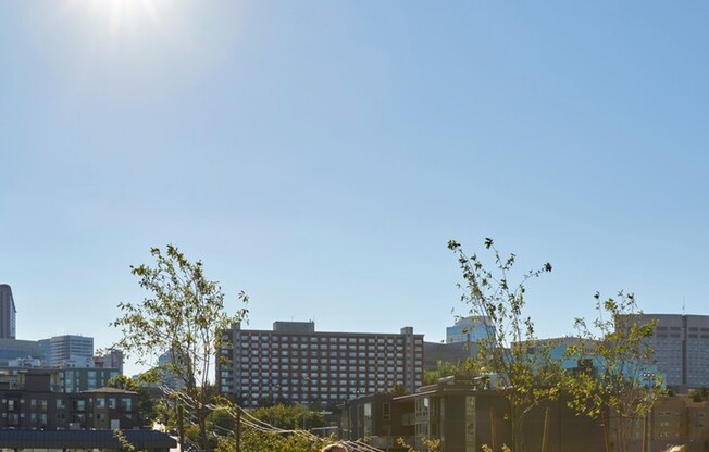 Studio, 1 bath, 393 sqft, $1,450, Unit 211-MFTE