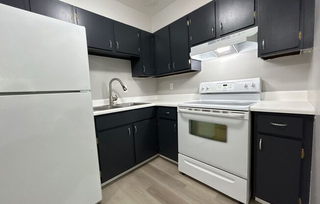 1 bed, 1 bath, 564 sqft, $695, Unit A12