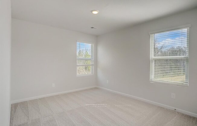 A room with two windows and a carpeted floor.